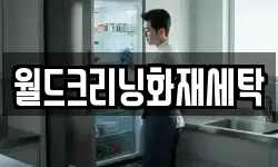 월드크리닝화재세탁
