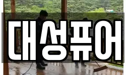 대성퓨어