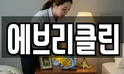 에브리클린