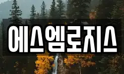 경북 청도군 화양읍 이사,용달이사,포장이사,원룸이사,보관이사