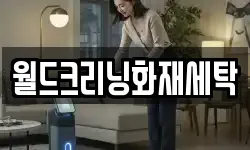 월드크리닝화재세탁