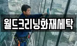 월드크리닝화재세탁