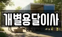 개별용달이사