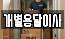개별용달이사