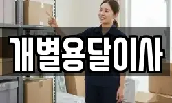 개별용달이사