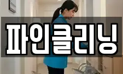 파인클리닝