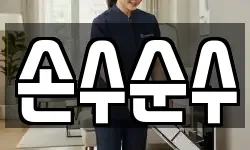 손수순수