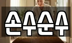 손수순수