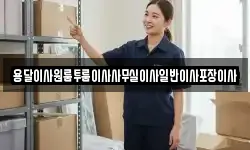 용달이사원룸투룸이사사무실이사일반이사포장이사