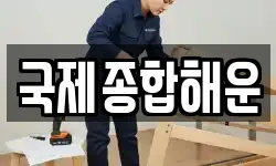 국제종합해운