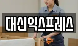 대신익스프레스
