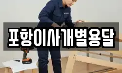 포항이사개별용달