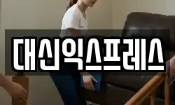 대신익스프레스