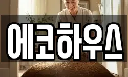 에코하우스
