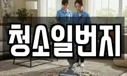 경북 포항시 남구 대도동 청소,입주청소,사무실청소,에어컨청소