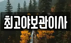 최고야보관이사