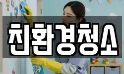 친환경청소