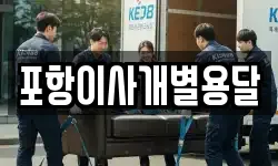 포항이사개별용달
