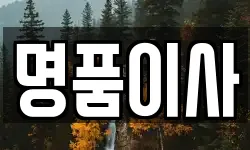 경북 포항시 남구 대잠동 이사,용달이사,포장이사,원룸이사,보관이사