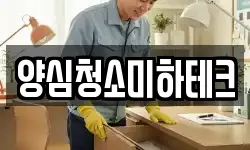 양심청소미하테크