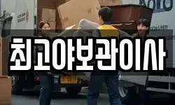 최고야보관이사