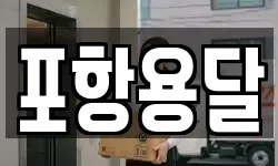 포항용달