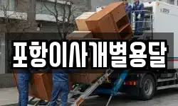 포항이사개별용달