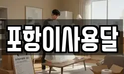 포항이사용달