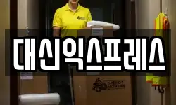대신익스프레스