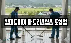 침대토피아 매트리스청소 포항점