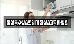 정성특수청소쓰레기집청소고독사청소