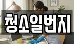청소일번지
