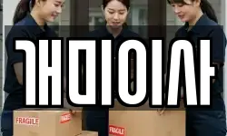 개미이사