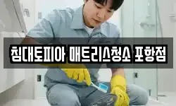 침대토피아 매트리스청소 포항점