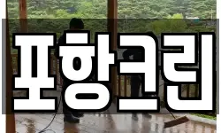 포항크린