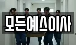 모든예스이사