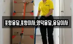 포항용달,포항이사,영덕용달,용달이사