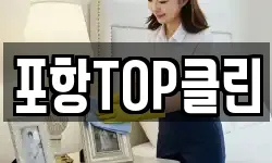 포항TOP클린