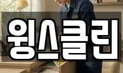 윙스클린