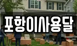 포항이사용달