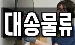 경북 포항시 남구 일월동 이사,용달이사,포장이사,원룸이사,보관이사