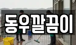 동우깔끔이