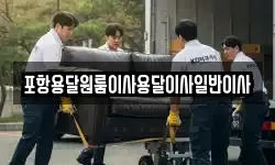 포항용달원룸이사용달이사일반이사