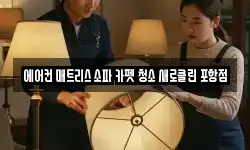 에어컨 매트리스 소파 카펫 청소 새로클린 포항점