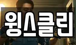 윙스클린