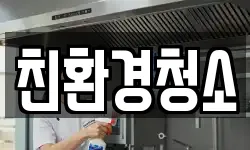 친환경청소