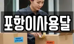 포항이사용달