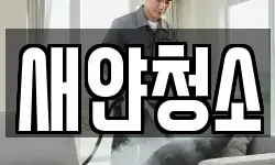새얀청소