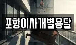 포항이사개별용달