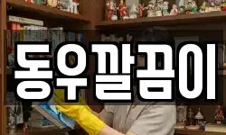동우깔끔이
